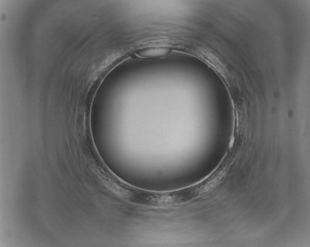 X0000074930301200609011057