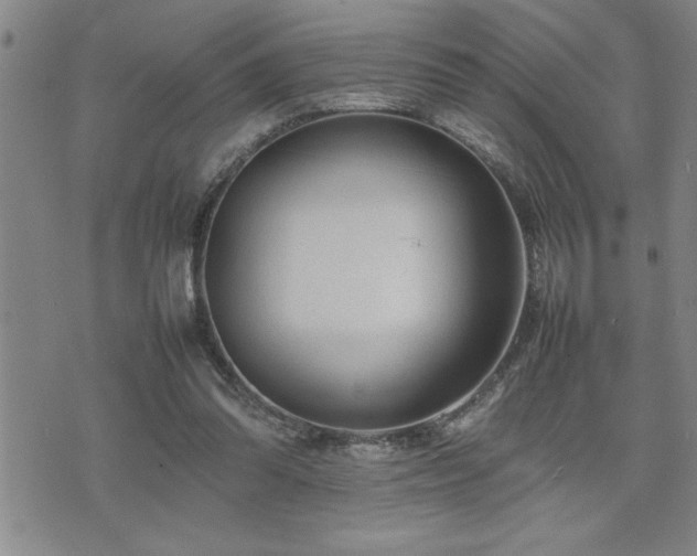 X0000074930302200609011057