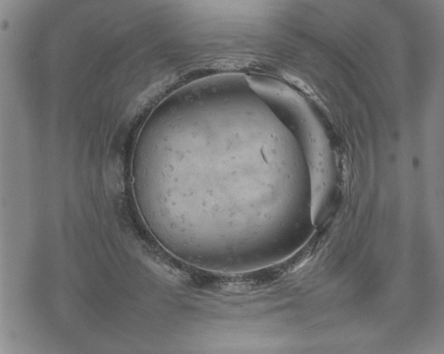 X0000074930303200609011057