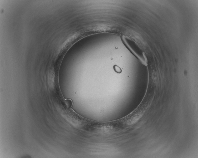 X0000074930304200609011057