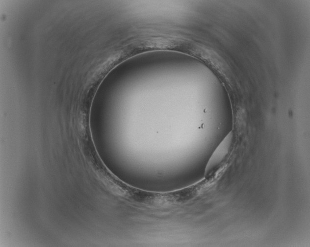 X0000074930305200609011057