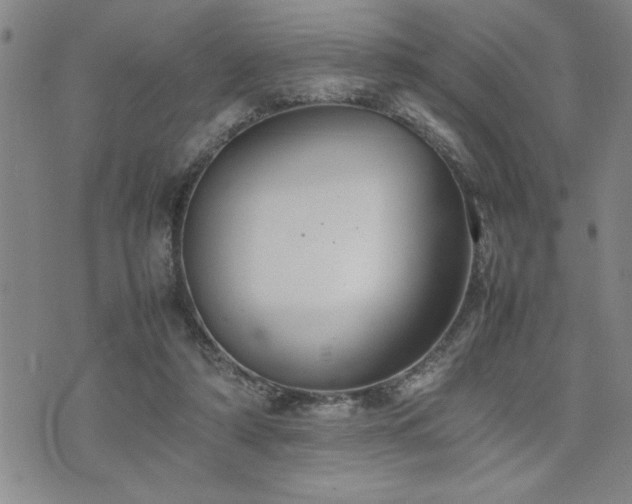 X0000074930306200609011057