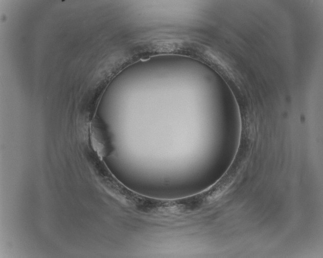 X0000074930307200609011057