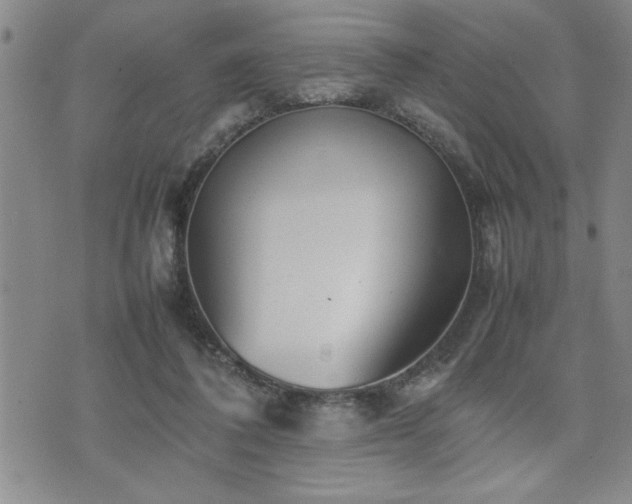 X0000074930308200609011057