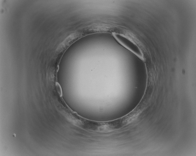 X0000074930309200609011057