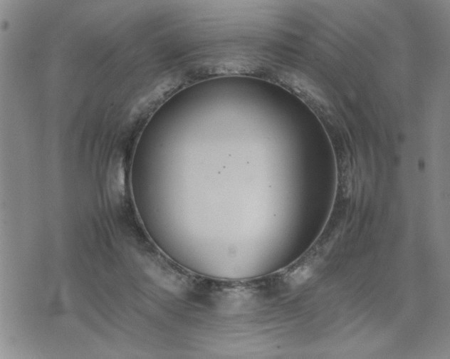 X0000074930310200609011057