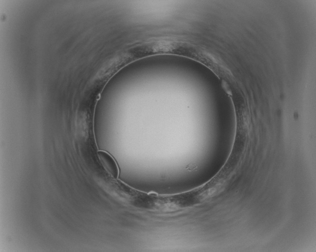 X0000074930311200609011057