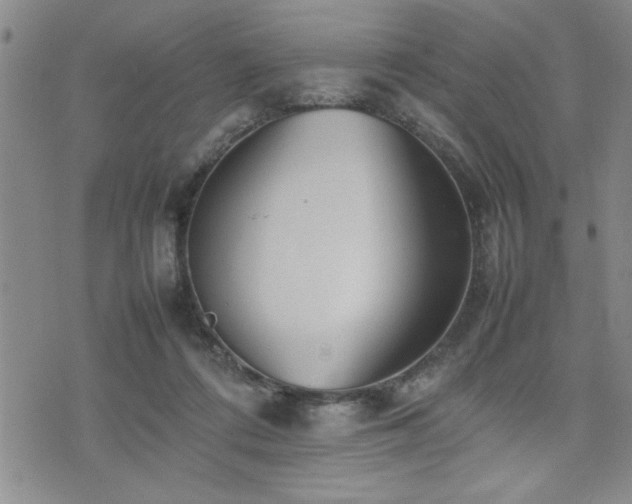 X0000074930312200609011057