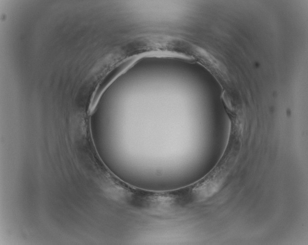 X0000074930313200609011057