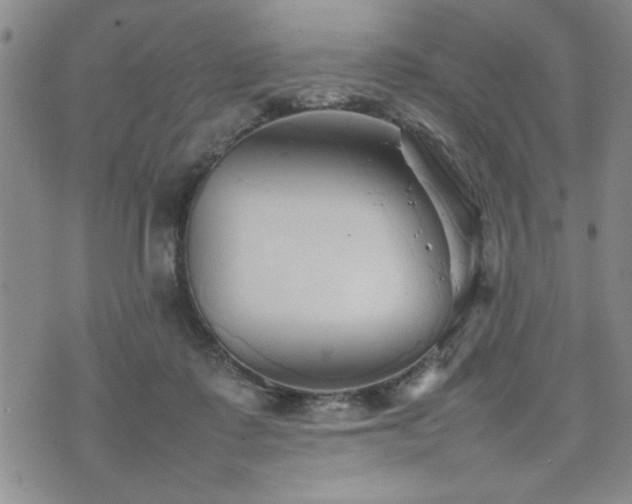 X0000074930315200609011057