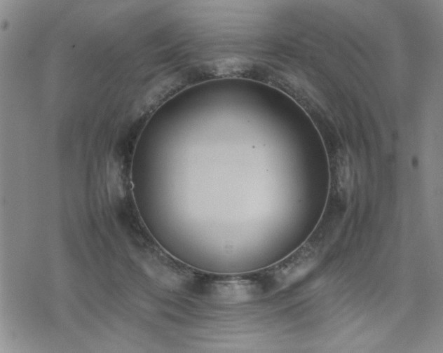 X0000074930316200609011057