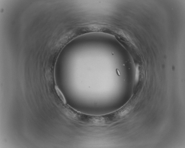 X0000074930317200609011057