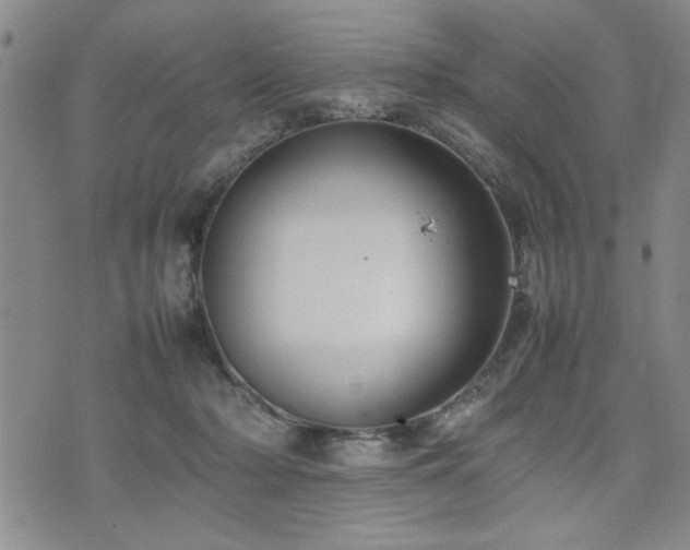 X0000074930318200609011057