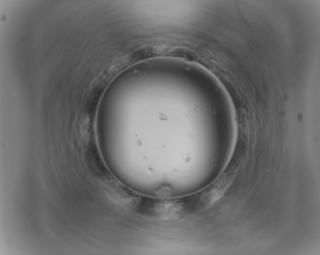 X0000074930319200609011057