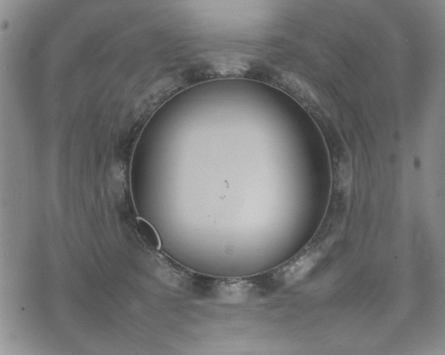 X0000074930321200609011057