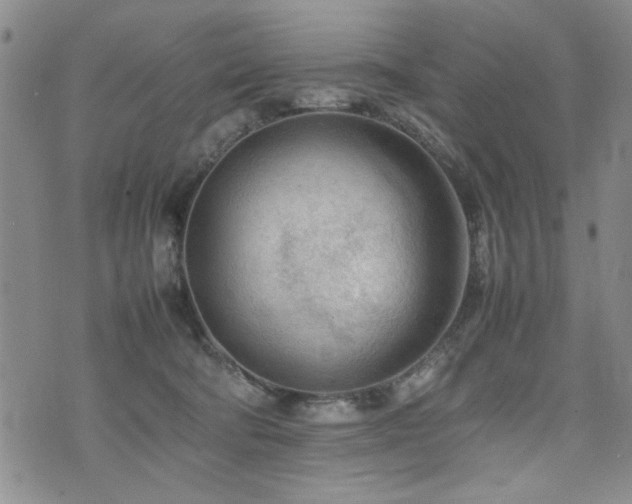 X0000074930322200609011057