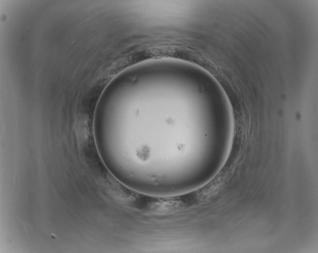 X0000074930323200609011057