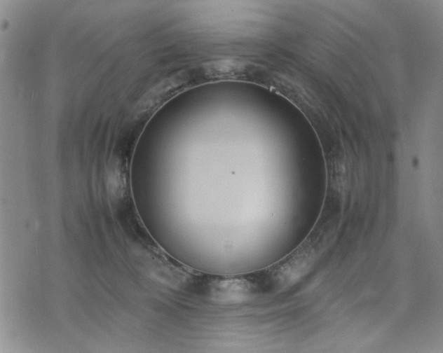 X0000074930324200609011057