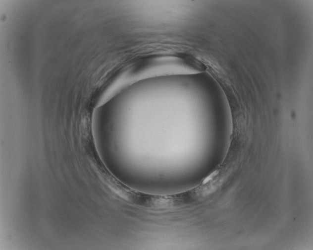 X0000074930325200609011057