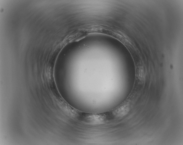 X0000074930326200609011057