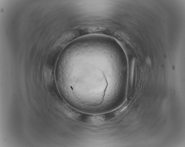 X0000074930327200609011057