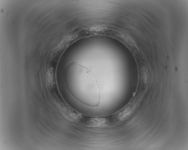 X0000074930328200609011057