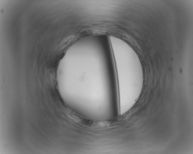 X0000074930329200609011057