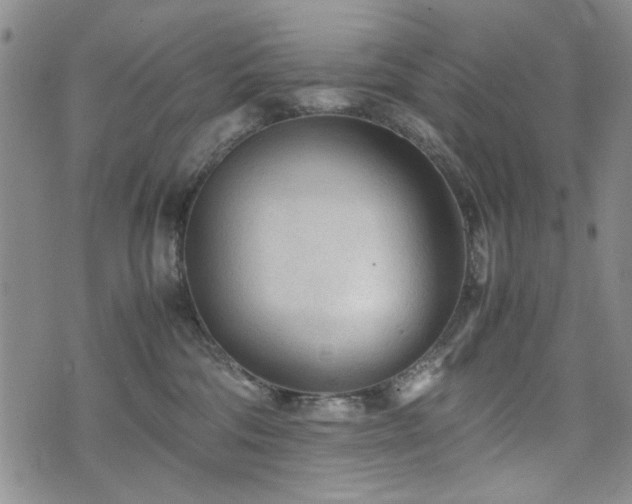 X0000074930330200609011057