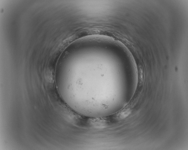 X0000074930331200609011057