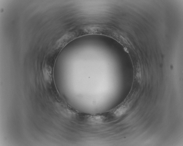 X0000074930332200609011057