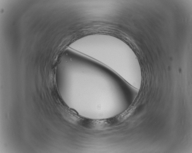 X0000074930333200609011057