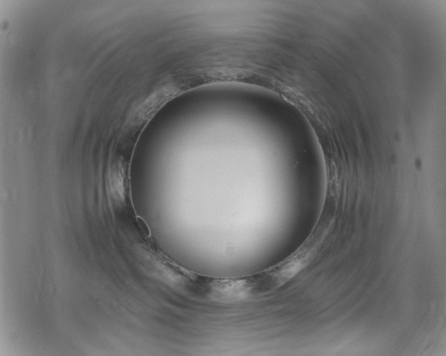 X0000074930334200609011057