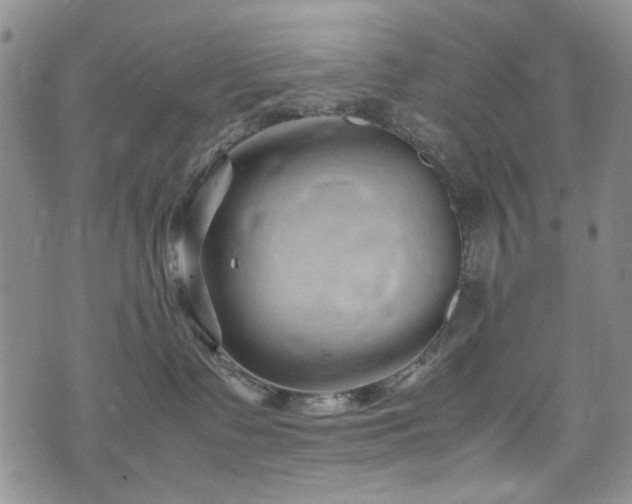 X0000074930335200609011057