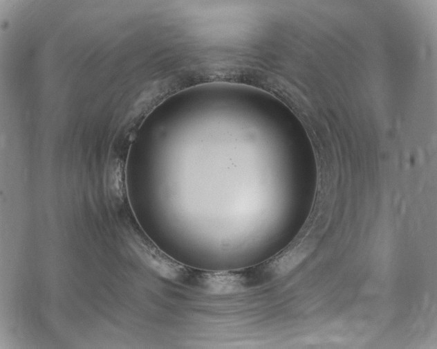 X0000074930336200609011057