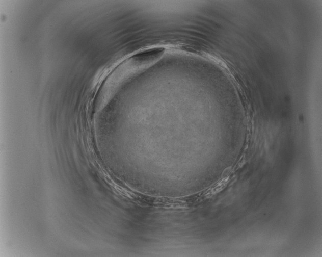 X0000074930337200609011056