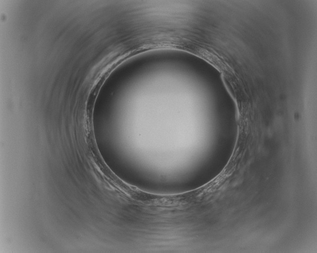 X0000074930338200609011056