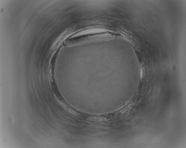 X0000074930339200609011056