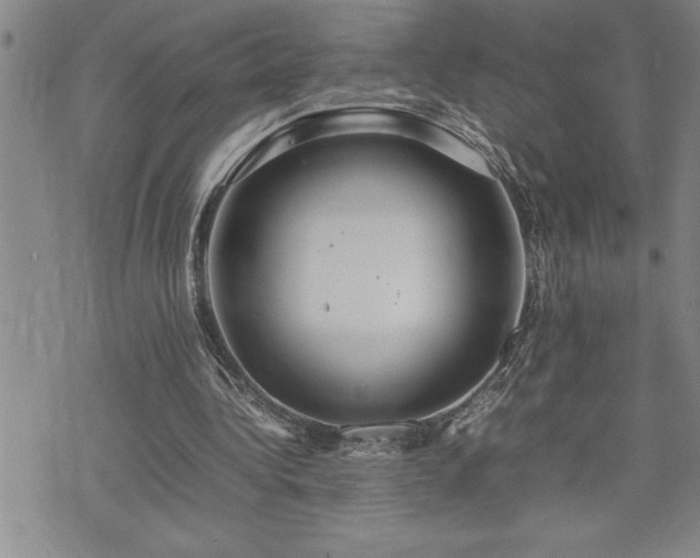 X0000074930340200609011056