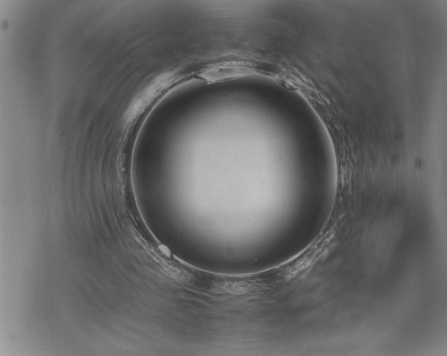 X0000074930341200609011056