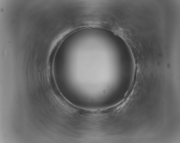 X0000074930342200609011056