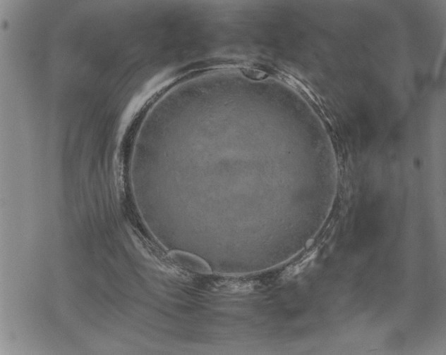 X0000074930343200609011056