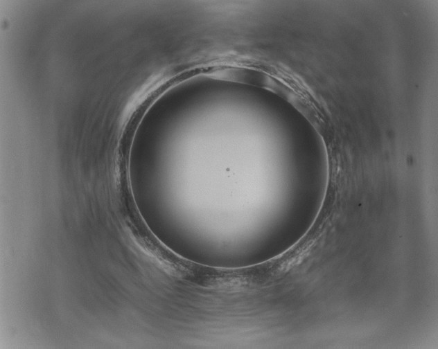 X0000074930344200609011056