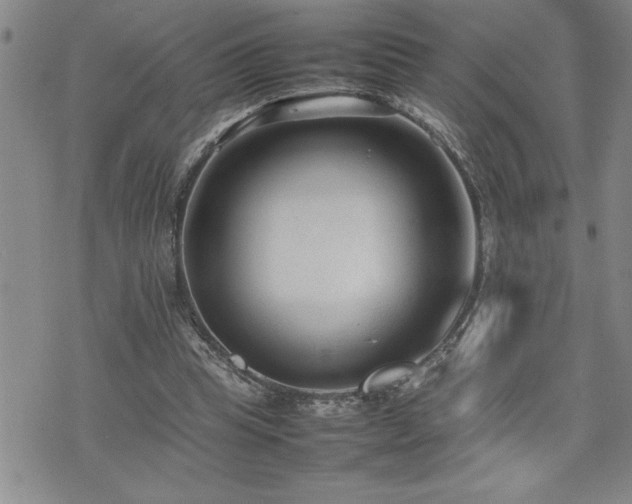 X0000074930345200609011056