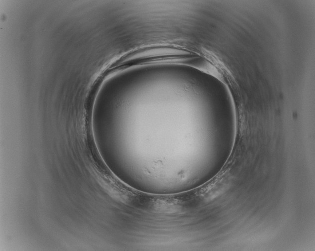 X0000074930346200609011056