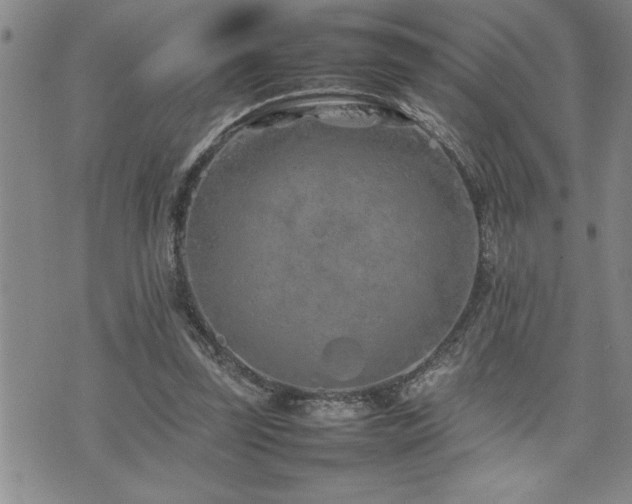 X0000074930347200609011056