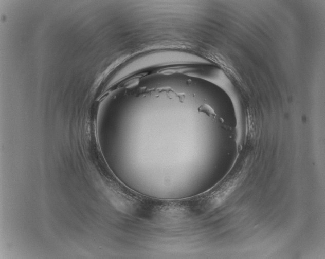 X0000074930348200609011056