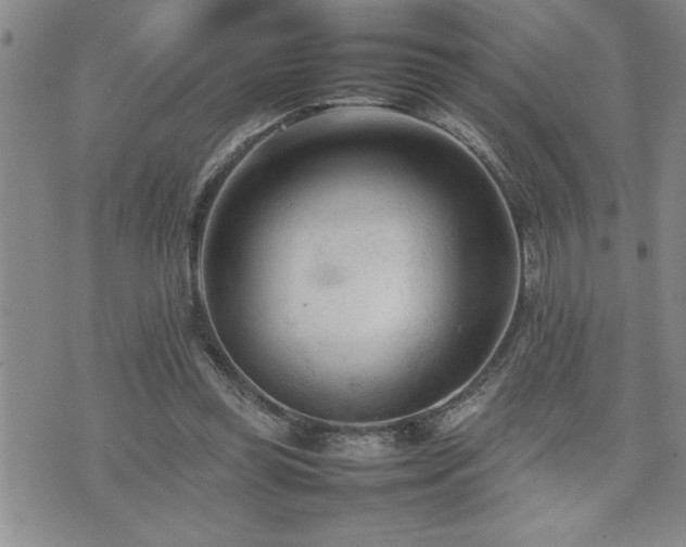 X0000074930349200609011056