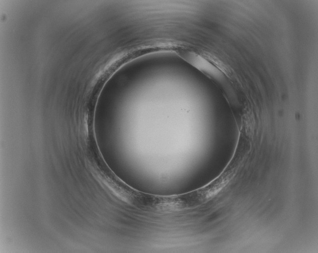 X0000074930350200609011056