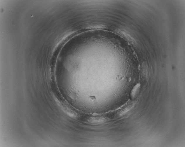 X0000074930351200609011056