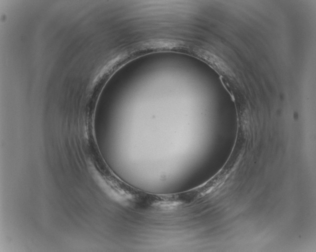 X0000074930352200609011056